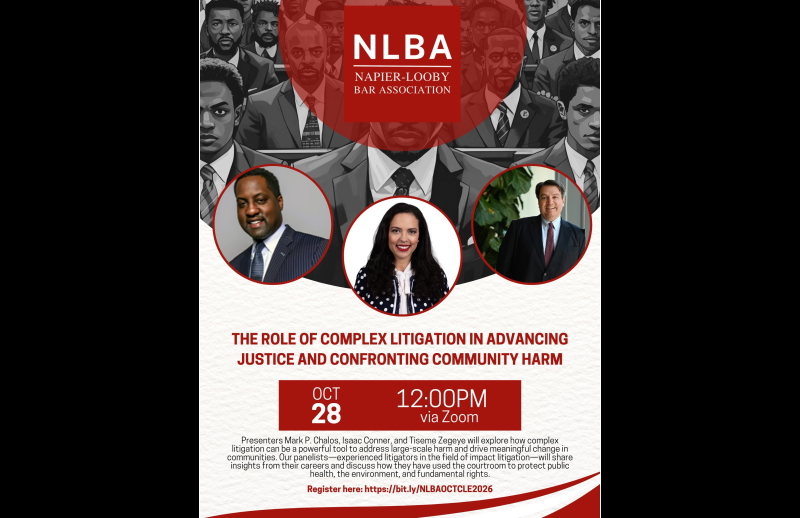 NLBA CLE Complex Litigation and Community Benefits